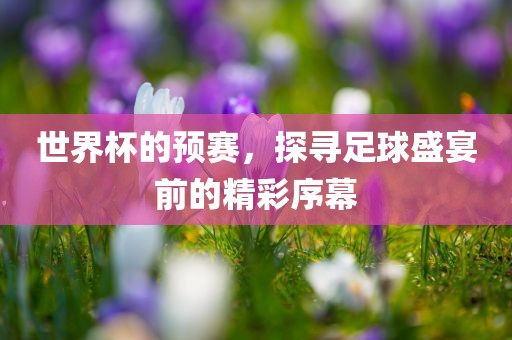 世界杯的预赛，探寻足球盛宴前的精彩序幕眉山市正发家政服务有限公司