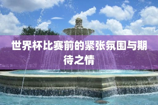 世界杯比赛前眉山市正发家政服务有限公司的紧张氛围与期待之情