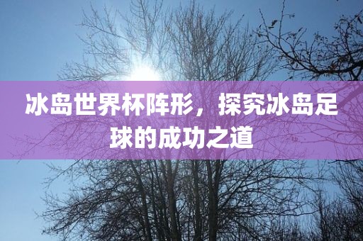 冰岛世界杯阵形，探究冰岛足球的成功之道