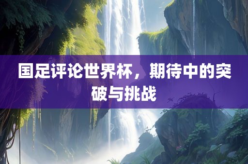 国足评论世界杯，期待中的突破与挑战眉山市正发家政服务有限公司