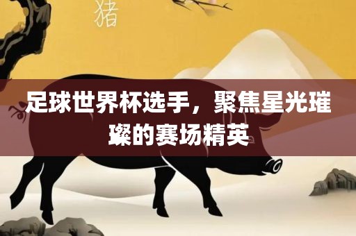 足球世界杯选手，聚焦星光璀璨的赛场精英眉山市正发家政服务有限公司