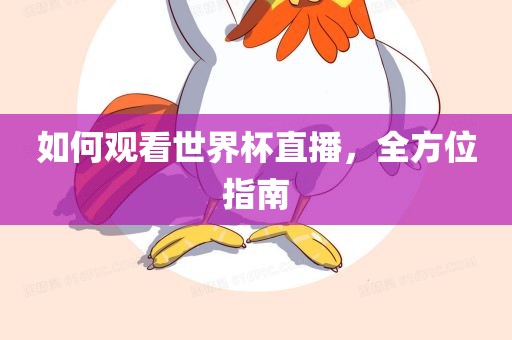 如何观看世界杯直播，全方位指南眉山市正发家政服务有限公司