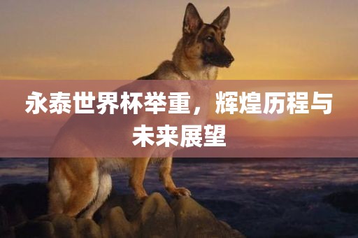 永泰世界杯举重，辉煌历程与未来展望眉山市正发家政服务有限公司