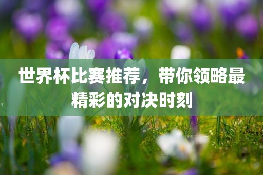 世界杯比赛推荐，带你领略最精彩的对决时刻
