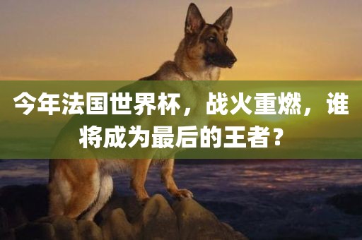 今年法国世界杯，战火重燃，谁将成为最后的王者？