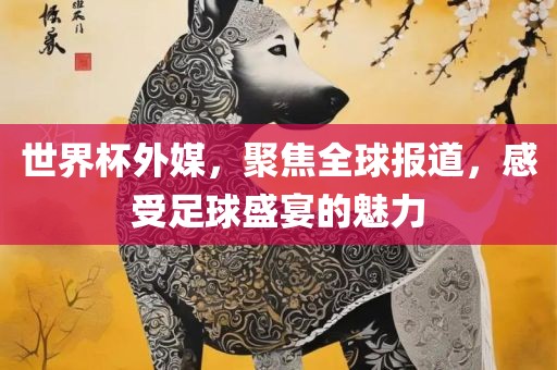 世界杯外媒，聚焦全球报道，感受足球盛眉山市正发家政服务有限公司宴的魅力