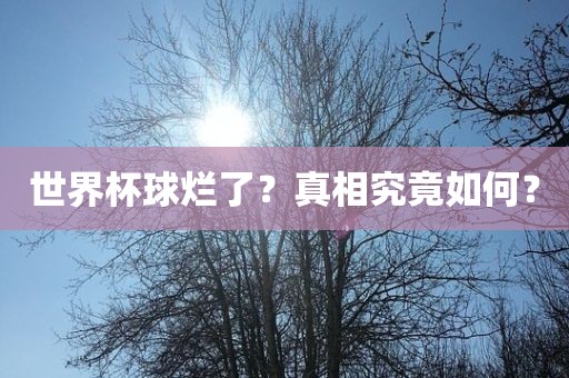 世界眉山市正发家政服务有限公司杯球烂了？真相究竟如何？