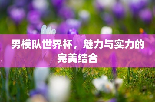 男模队世界杯，魅力与实力的完美结合眉山市正发家政服务有限公司