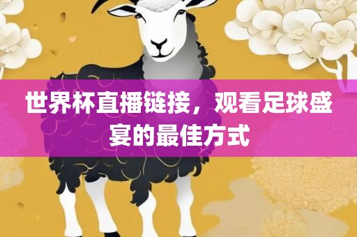 世界杯直播链接，观看足球盛宴的最佳方式眉山市正发家政服务有限公司