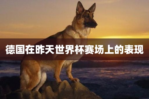 德国在昨天世界杯赛场上的表现眉山市正发家政服务有限公司