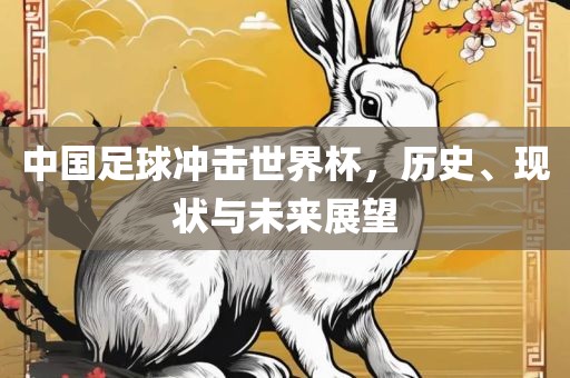 中国足球冲击世界杯，历史、现状与未来展望