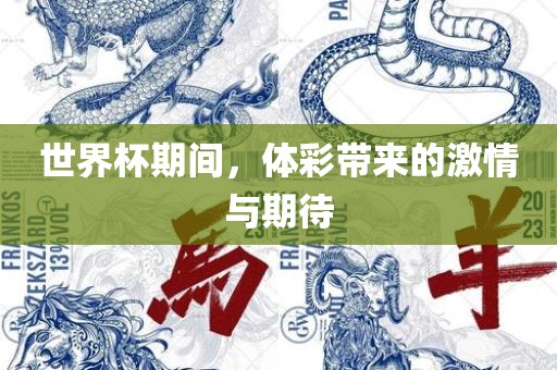 世界杯期间，体彩带来的激情与期待