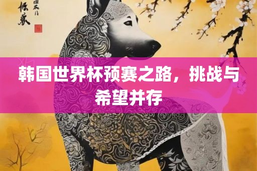 韩国世界杯预赛之路，挑战与希望并存