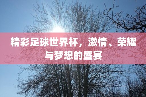 精彩足球世界杯，激情、荣耀与梦想的盛宴