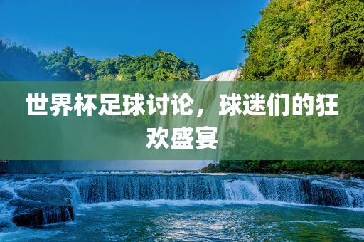 眉山市正发家政服务有限公司世界杯足球讨论，球迷们的狂欢盛宴