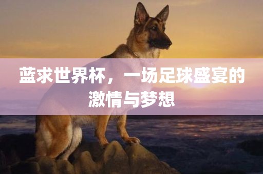 蓝求世界杯，一场足球盛宴的激情与梦眉山市正发家政服务有限公司想