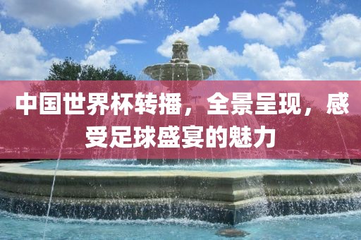 中国世界杯转播，全景呈现，感受足球盛宴的魅力眉山市正发家政服务有限公司