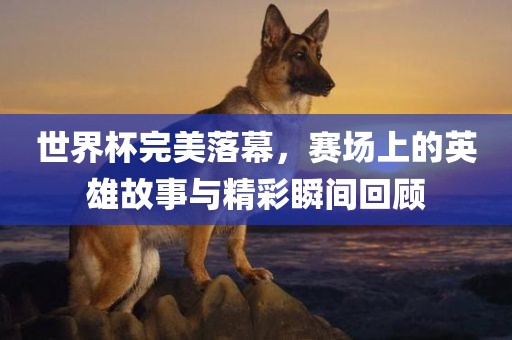 世界杯完美落幕，赛场上的英雄故事与精彩瞬间回顾眉山市正发家政服务有限公司