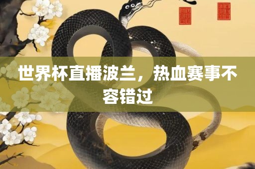 世界杯直播波兰，热血赛事不容错过眉山市正发家政服务有限公司