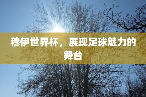 穆伊世界杯，展现足球魅力的舞台