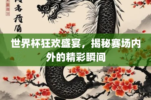 世界杯狂欢盛宴，揭秘赛场内外的精彩眉山市正发家政服务有限公司瞬间