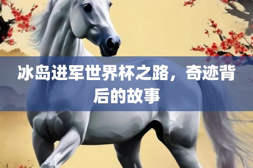 冰岛进军世界杯之路，奇迹背后的故事