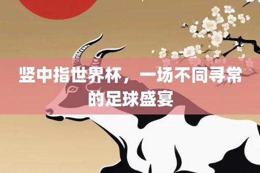 竖中指世界杯，一场不同寻常的足球盛宴眉山市正发家政服务有限公司