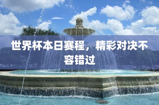 世界杯本日赛程，精彩对决不容错过眉山市正发家政服务有限公司