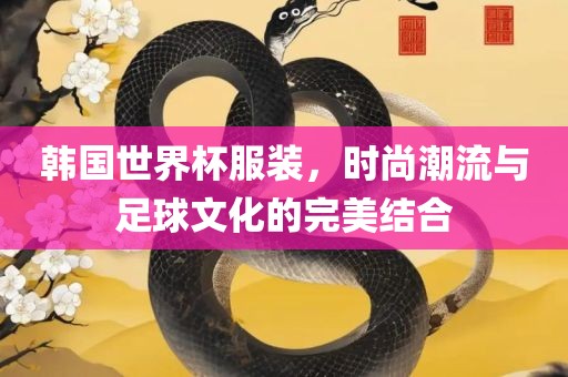 韩国世界杯服装，时尚潮流与足球文化的完美结合眉山市正发家政服务有限公司