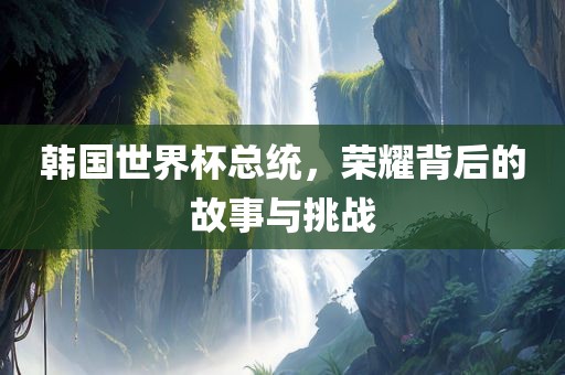 韩国世界杯总统，荣耀背后的故事与挑战