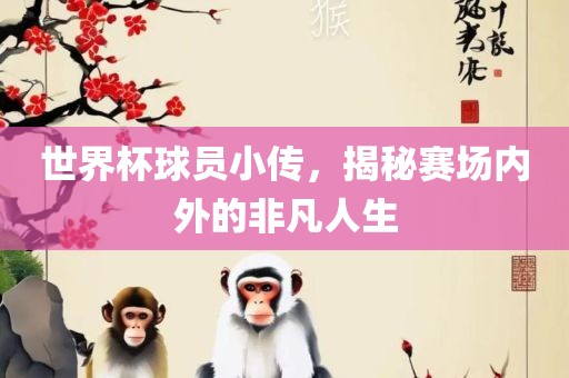 世界杯球员小传，揭秘赛场内外的非凡人生