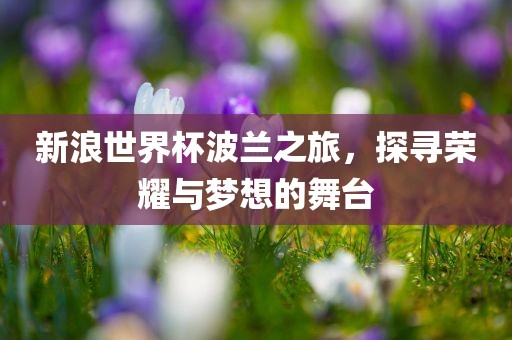 新浪世界杯波兰之旅，探寻荣耀与梦想的舞台眉山市正发家政服务有限公司