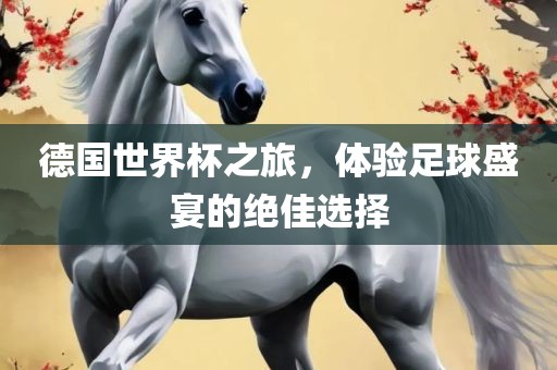 德国世界杯之旅，体验足球盛宴的绝佳选择眉山市正发家政服务有限公司