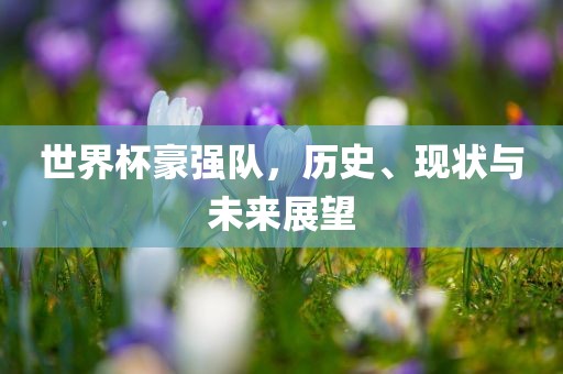 世界杯豪强队，历史、现状与未来展望