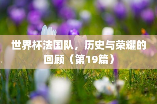 世界杯法国队，历史与荣耀的回顾（第19篇）