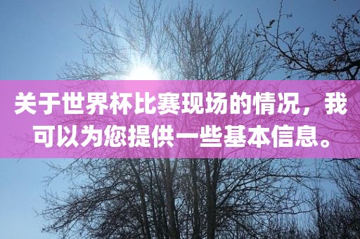 关于世界杯比赛现场的情况，我可以为您提供一些基本信息。