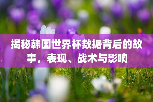 揭秘韩国世界杯数据背后的故事，表现、战术与影响