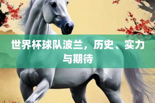 世界杯球队波兰，历史、实力与期待
