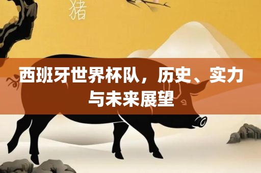 西班牙世界杯队，历史、实力与未来展望眉山市正发家政服务有限公司
