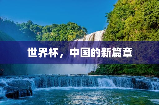 世界杯眉山市正发家政服务有限公司，中国的新篇章