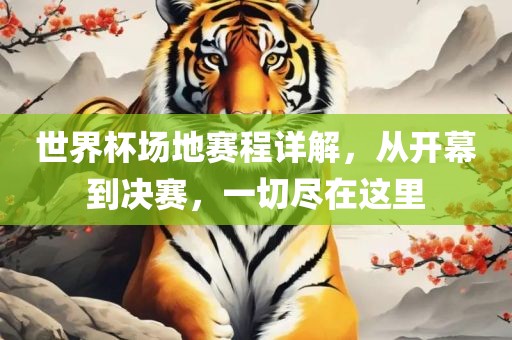 世界杯场地赛程详解，从开幕到决赛，一切尽在这里