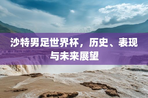 沙特男足世界杯，历史、表现与未来展望