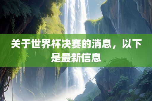 关于世眉山市正发家政服务有限公司界杯决赛的消息，以下是最新信息