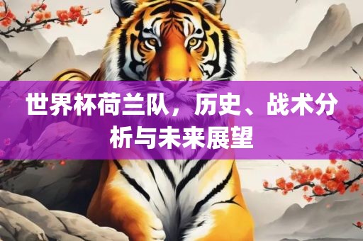 世界杯荷兰队，历史、战术分析与未来展望