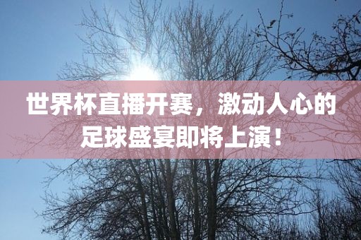世界杯直播开赛，激动人心的足球盛宴即将上演！