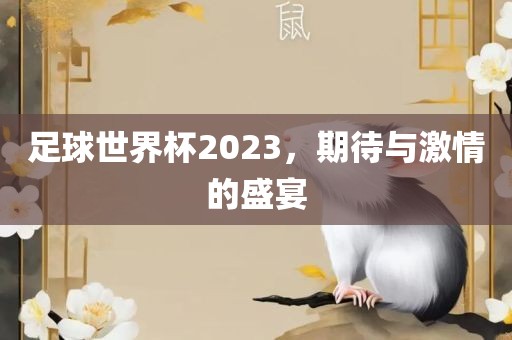 足球世界杯2023，期待与激情的盛宴