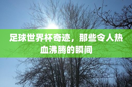 足球世界杯奇迹，那些令人热血沸腾的瞬间