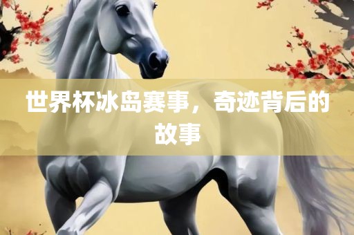 世界杯冰岛赛事，奇迹背后的故事眉山市正发家政服务有限公司