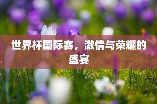 世界杯国际赛，激情与荣耀的盛宴