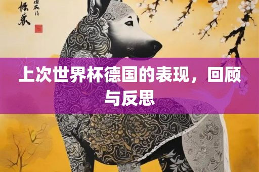 上次世界杯德国的表现，回顾与反思